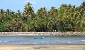 kavvayi-backwaters