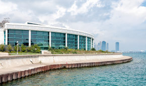 Shedd Aquarium