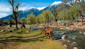 Pahalgam