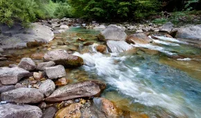 Arippara waterfalls 